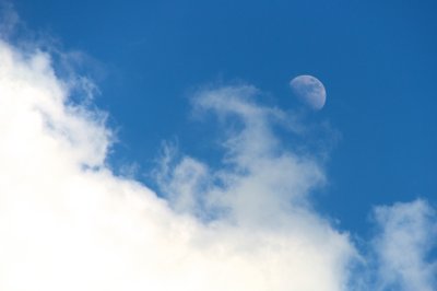 Simple comme une caresse_4661086184_l.jpg